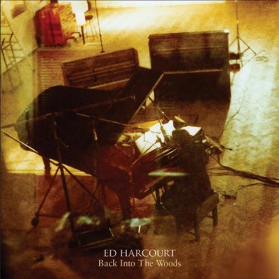 Ed Harcourt artwork